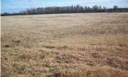 3-Acre single family residential home site in rural community of Goodway, Al. Restrictive Covenants for home owner's protection. Level, cleared, public water access and ready for new home construction. Property is also fenced. Take a look at this today.
