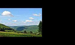Find privacy on this surveyed 114 acre parcel of catskill mountain land. Listing originally posted at http