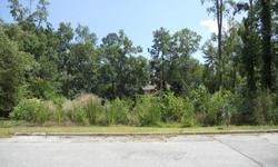 4858 Birdwood Court, Evans GA 30809 (Farmington community)
Only $27,000 for almost Â½ acre BASEMENT lot in Evans. Bring your builder or use one of ours and build a PRE-SOLD contact us for more details. This large lot gives you ample elbow room and backs to