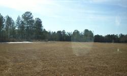 7.5 acres of land for sale in Pamplico, SC. 5 acres cleared, 2.5 wooded. Off Hosea Gibbs Rd. in Pamplico, SC. Perk tested in two spots. Hannah Pamplico Schools. Great for building on! Beautiful land in secluded country side. Call or text 843-453-6234 for