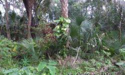 Tropical palms & vines reflect the natural florida lifestyle on this rare wooded double lot, which can be subdivided into two 80 x 125 lots. Listing originally posted at http