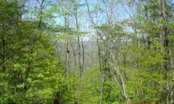 3.83 ACRES IN HARMAN - THIS TRANQUIL 3.83 ACRE LOT IS LOCATED IN MOUNTAINS OF WV. TUCKED AWAY ARE THESE WOODED ACRES IN HARMAN WITH PRIVATE ROAD ACCESS. JUST 13 MILES TO CANAAN VALLEY SKI RESORT AND CLOSE TO SENECA ROCKS AND BLACK WATER FALLS. COME AND