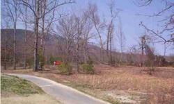 Great level building lot with mature hardwoods and mountain views in developed subdivision. Low property taxes.
Listing originally posted at http