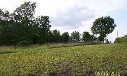 2.02 acres in Wheeler Hill Subdivision, Lahmansville, WV. Lot is partially cleared with lake view from part of the lot. Public water. If you want serene views that looks out over the hills to the farms and mountains in the distance, then this may fit your