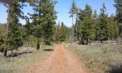20 acres, trees and open areas, us right of way access across state land, lots of wildlife, Cash or Owner terms, private area!!! Bickleton Wa Real Estate is known for it private recreational retreats and vacation property. Bring the 4 wheelers or