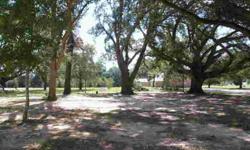 Owner motivated. Make an offer on this wonderful oak shaded lot near clubhouse and pool in beautiful Council Oaks subdivision in charming Bon Secour. Come see the private natural calm of this gated community off CR 10 just 1 mile before Tin Top. Lots of