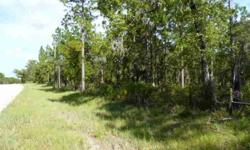 Very pretty property in a GREAT LOCATION and very near to Goethe State Forest trails' access. The property has been partially cleared & fenced for your "dream home in the country". One block off a county paved road on a county maintained shell rock road.