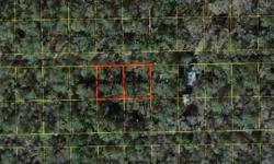 11 different .25 acre lots in the Suwannee Campsites subdivision. Some contiguous, others not. List of parcel ID #'s available via weblinks. List price is per each .25 acre lot. Owner financing available. 5% interest rate @ 20% down payment. 4% interest
