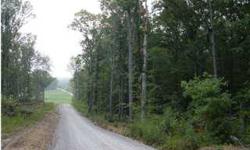 ACREAGE IS APPROX. PRICED AT $7500/SURVEYED ACRE
Listing originally posted at http