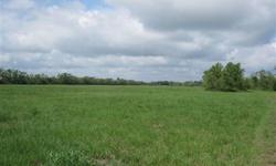 All open pasture land. 62.28 acres one (1) mile north of Raywood on the west side of F. M. Highway 770. Public water is available. There is a small pond for watering your livestock. From U. S. Highway 90, go 1.2 miles. There will be a set of metal gates