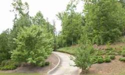 Rare estate home site in prestigious Silver Creek neighborhood. Spectacular one acre plus lot offers dramatic views over the Dry Creek valley. Build your dream house amid the mature hardwoods. Concrete drive and parking pad already installed. Close to