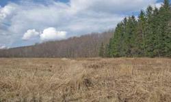114 Acre Tillable Farm Land. Quiet Setting.
Listing originally posted at http