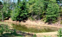 19 acres of rolling wooded land with a pond & beautiful views!Listing originally posted at http