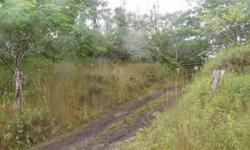 Good deal on these 87 subdividable acres (into 5 acre parcels). Wooded land near Pahoa, Island of Hawaii. Opportunity knocks! Kenneth Heinemann R.S. Aloha Coast Realty 808-960-8695