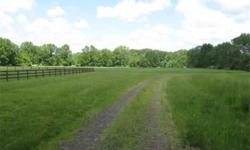Great opportunity for Buyer looking to build their dream home. This site would be perfect for horse or other animal enthusiasts. Over 11 acres of mostly open grassland surrounded by a tree line border this site provides tremendous privacy. The site is