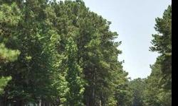 Heavily wooded, neatly kept community in rural Brunswick County near the Calabash River, golf courses and beaches, ideal retirement community or second home. Midway between Wilmington and Myrtle Beach. Residents manage POA and architectural standards