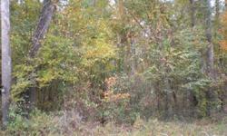 River Lot on the Suwannee River. Close to Charles Springs park and boat ramp. Owner will consider owner fiancing - $28000, 15yr amort. - 8% fixed interest -- early payment not allowed with owner financing. Pretty wooded 2 acre lot. s/d only allows stick