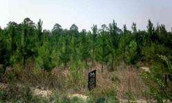 5 parcels available on highway. Acreage range from 5 acres to 6.18 acres. Build your home or bring mobile home. Located just minutes to Hinesville/Fort Stewart.Listing originally posted at http
