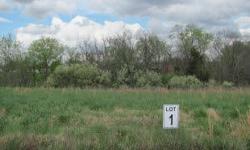 Fantastic, 1+ acre building site in Unity Point school district! Build your dream home in this new subdivision! Covenants and deed restrictions insure a pleasant neighborhood! General Information County