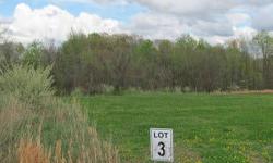 Fantastic, 1+ acre building site on cul-de-sac in Unity Point school district! Build your dream home in this new subdivision! Covenants and deed restrictions insure a pleasant neighborhood! General Information Property Features County