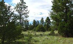 Timberlake Ranch- Views from this lot are of a red bluff mesa and pine trees. It is relatively flat with open fields and trees surrounding for privacy and views as well. The lot next door is for sale and they go very well together. Perfect for a summer