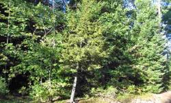 Beautiful wooded lot on year round road with electricity! Snowmobile, 4 wheeler, hunt, a dream property. Priced to sell, a must see!Listing originally posted at http