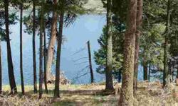 One of the last buildable lots on Wallowa Lake right on the water over 100' lake frontage, you can have a personal dock. Beautiful, tranquil setting on Wallowa Lake. Surrounded by trees and situated on the most popular lake in N E Oregon. This lot has
