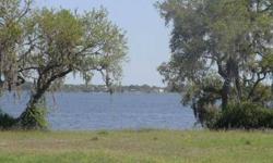 This vacant residential lakefront lot is perfect for your dream home, with close to a 1/2 acre to build on. Located directly on Lake Minneola in the charming city of Clermont, located in the hills of Lake County.The Palisades community offers an 18 Hole