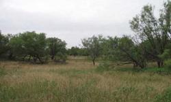 This has a good combination of cultivated fields for livestock and mesquite timber for wildlife cover. The property is approximately 40 % in fields and 60% in trees being mostly mesquite with live oaks mixed in. There is good access to the property for