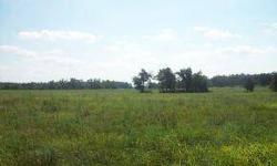 144 ACRE FARM - NO HOUSE - 2 HAY BARNS, 30 X 50; 4 CAR GARAGES; 2 PONDS, 1 SPRING FED. CROSS FENCED - PLEASE MAKE SURE GATES ARE CLOSED. FOR MORE INFORMATION, PLEASE CONTACT LADONNA PEEPLES AT 417-312-0262
Listing originally posted at http