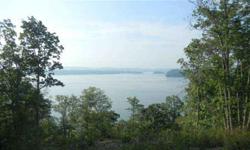$299,000. 19.54 Beautiful acres with great mountain views, lakeviews, 1300 feet of shoreline on Watts Bar Lake and dockable w/2 boat dock permits. Great for condos, subdiviison or single family compound. Presented by Gary Venice, Broker/Owner, REALTOR(R)