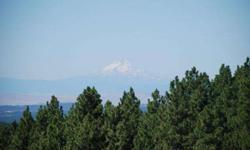 20 acres in a Prime Hunting area. I flushed a 3 & 4 Point Nice Bucks when I rode throught the property. Nice views of Mt Hood, Mt Jefferson and you can see over oregon. Sellers family has taken 5 record washington state bucks from this general area. Gated