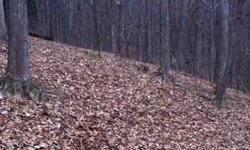 +/- 3 acres of Laurel Mountain Property. Great home site.Close to Nem.Woodlands, Ohiopyle, trout streams, white water rafting & thousands of acres of game lands.This ad was posted with the eBay Classifieds mobile app.