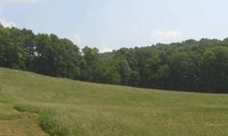 3.14 Acres sloping and mostly cleared. Property would be a wonderful place to build. No restrictins. Taxes not yet assessed.
Listing originally posted at http