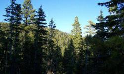 Beautiful 1.07 Acre Lot in Zion View Mountain Estates, with mature ponderosa pines. Beautiful mountain views, very peaceful location. Owner AgentListing originally posted at http