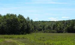 BEAUTIFUL OPEN LEVEL LOT WITH VIEWS OF OPEN FIELDS, LOTS OF WILDLIFE TO ENJOY, COUNTRY NEIGHBORHOOD, QUIET YET CONVENIENT TO ALL AMENTIES, NEAR LAKES AND PONDS FOR GREAT FISHING, BOATING AND SWIMMING. LOT 59-6 HAYFIELD DR IS 1.08 ACRES FOR $29,500, LOT