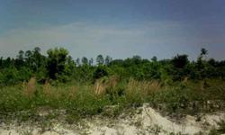 BEAUTIFUL HIGH AND DRY HOMESITES LOCATED JUST MINUTES TO HINESVILLE/FT STEWART. SEVERAL LOTS AVAILABLE. STICK BUILT OR MOBILE HOMES ALLOWED.Listing originally posted at http