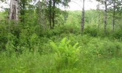 6 + Ac wooded building lots. Trees and views. Just outside Schoolcraft Game Fefuge. Close to 1000's of Ac. State & county land. Minutes from great fishing spots!Listing originally posted at http