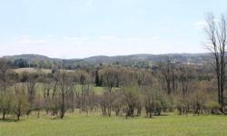 NEW YORK LAND FOR SALE WITH OWNER FINANCING ----- AFFORDABLE OWNER FINANCING AVAILABLE.... Country homesite with great views of rolling hillsides and distant farms. Easy access entering the property with green hayfield surrounded by field stone walls and