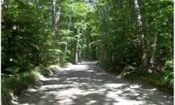 Nice rectangular parcel available on the west side of Beaver Island! 373 ft x 295 ft of flat, undisturbed woods with 2 clearings; there are several old hardwoods that are hundreds of years old! Zoned 401 residential and perfect for building! Beaver Island