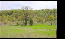 PRIVATE & PICTURESQUE 20-acre parcel offering expansive countryside views & beautiful private sweeping valley dotted w/ trees & planted w/ deer feed. Bldg site, electric & driveway already cleared & in, offering the best of all worlds w/ EZ year-round