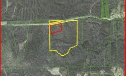 With 3.25 acres, this is the perfect sized lot for a small development or roomy homestead. The lot has been surveyed and a potential site plan for 5 large lots has been drawn up. A soil scientist has tested the property and a perk test will be available