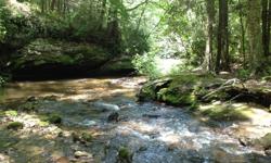 Our property is located just minutes off the Blue Ridge Parkway in between Asheville and Boone, NC. It offers high elevations of over 3400', towering hardwoods that create a canopy of shade with a large, rushing trout stream throughout the property!