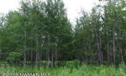 Terrific development on east side of Bemidji. Asphalt streets, high speed internet, underground electric. Wooded lots within city limits. Not many opportunities left in this subdivision.Listing originally posted at http