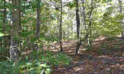 LET'S MAKE A DEAL ON THIS 1 WOODED ACRE JUST OUTSIDE CLEAR SPRING. ROAD FRONTAGE. IDEAL SPOT FOR A LOG CABIN. WELL & SEPTIC NEEDED. SELLER WILL PROVIDE PERC TEST UPON SATISFACTORY CONTRACT & FFINANCING.
Listing originally posted at http