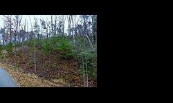 Lovely homesite in shumont estates in the rumbling bald resort. Listing originally posted at http