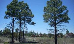 These lots have power and water available. Buyer to verify the utilities as well as flood plain details. Listing originally posted at http