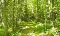 Looking for a great place to camp or build a nice northwoods cabin This property features over 5 acres of wooded land with access to Eagle Lake in Oneida Co. There are trails throughout the property and an adirondack shelter with wood stove heater are