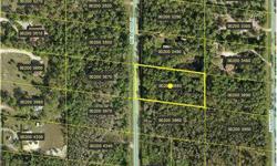 San Carlos Estates vacant lot approximately 1.25 acres in size. San Carlos Estates is only a few minutes from Coconut Point, the local hot spot for shopping and dining and approximately 15-20 minutes from the famed beaches of Bonita Beach and Barefoot
