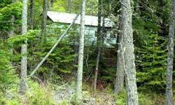 Rare Chance to own secondary property at Bead Lake for an affordable price. 5 Acres with driveway & old travel trailer (no economic value) under snow roof. Steep property with filtered lake view from upper portion. Deeded, no fee private boat launch